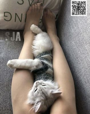 无码熟妇人妻AV又大又粗_国产剧免费观看电视剧